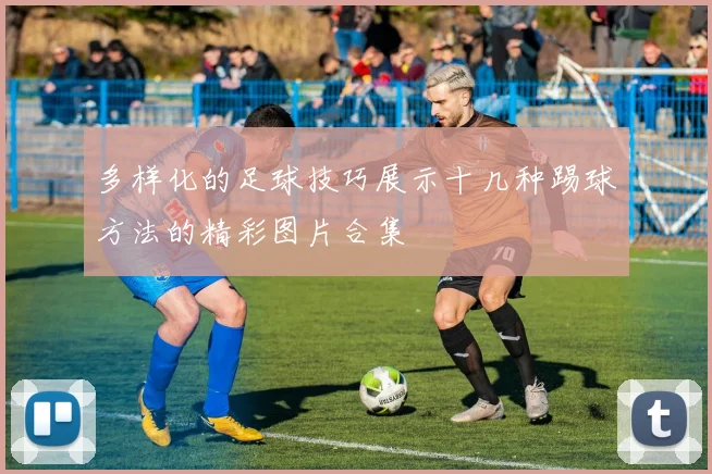 多样化的足球技巧展示十几种踢球方法的精彩图片合集