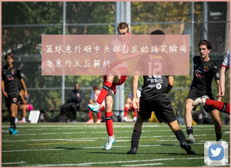 篮球意外砸中头部引发的搞笑瞬间与意外反应解析