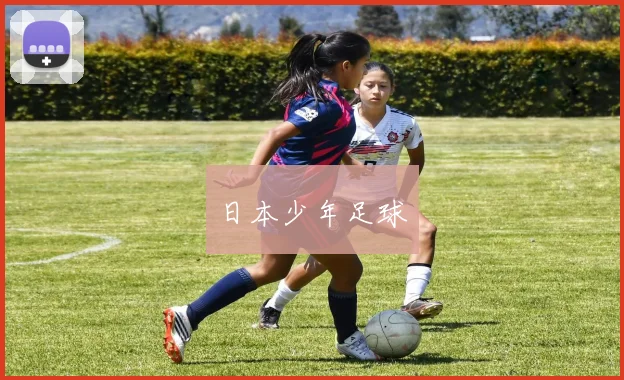 日本少年足球