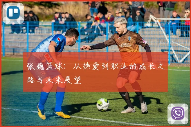 张巍篮球：从热爱到职业的成长之路与未来展望